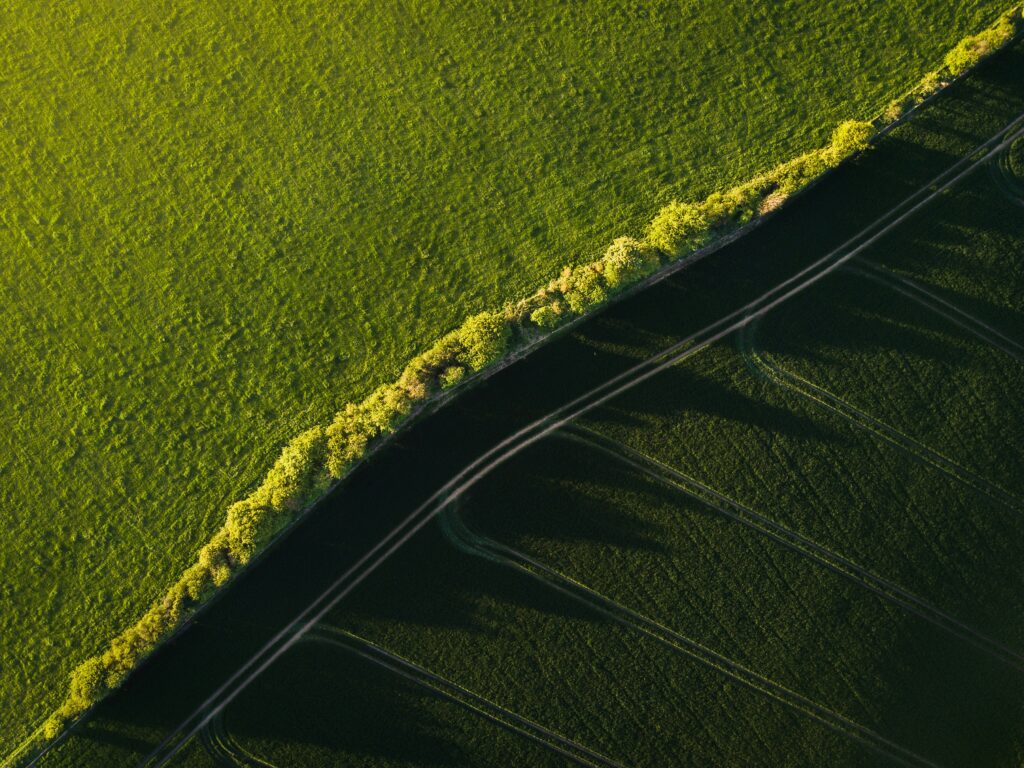 Ivan bandura g 1 fxigegc unsplash